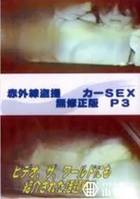 【赤外線盗撮 カーSEX 無修正版 P3】の一覧画像