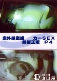 【赤外線盗撮 カーSEX 無修正版 P4】の一覧画像