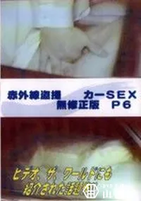 【赤外線盗撮 カーSEX 無修正版 P6】の一覧画像