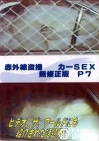 【赤外線盗撮 カーSEX 無修正版 P7】の一覧画像