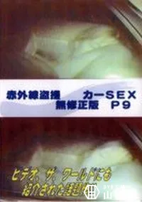 【赤外線盗撮 カーSEX 無修正版 P9】の一覧画像