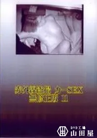 【赤外線盗撮 カーSEX 無修正版 11】の一覧画像