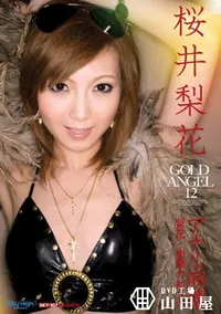 【Gold Angel　ゴールドエンジェル 12 】の一覧画像