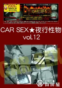 【CAR SEX ☆夜行性物 12】の一覧画像