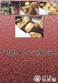 【巨乳お母さんの夜の営み 】の一覧画像