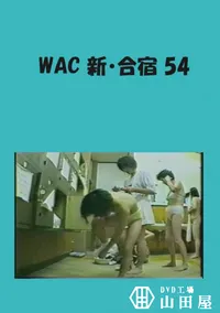 【WAC 新・合宿 54 】の一覧画像