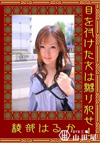 【目を付けた女は嬲り犯せ! 】の一覧画像