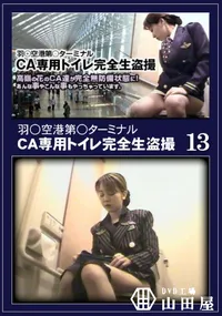 【羽○空港第○ターミナルCA専用トイレ完全生盗撮13】の一覧画像