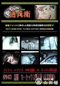 【SPD-073 盗撮カーセックス黙示録〜広島県編〜】の一覧画像