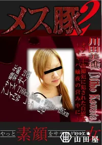 【オナニー盗撮犯に犯された自慰女～キャバ嬢夜の営み中に～ 】の一覧画像