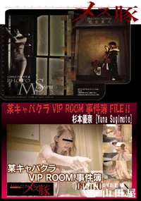 【某キャバクラ VIP ROOM 事件簿 FILEⅡ】の一覧画像