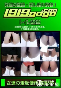 【女達の羞恥便所盗撮 Vol.509】の一覧画像