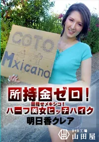 【所持金ゼロ!目指せメキシコ!ハーフ美女ヒッチハイク】の一覧画像