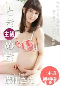 【ときめき ～彼女は妊婦～】の一覧画像