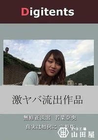 【無修正流出 若菜奈央 真実は如何に 完整版】の一覧画像